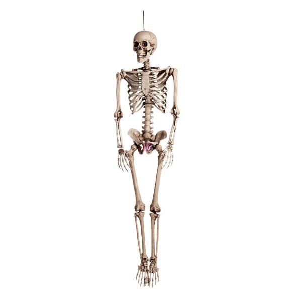 Élethű nagyságú Halloweeni csontváz Premium 160 cm