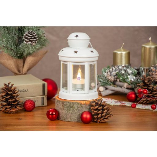 Karácsonyi Lámpás LED világítással, elemes 20 cm, fehér