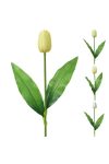 Selyemvirág tulipán 40cm színes 4 féle - 9200019