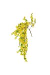 Selyemvirág aranyvessző füzér 65cm sárga