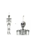 160 cm Halloweeni élthű csontváz felakasztható mozgatható testrészekkel