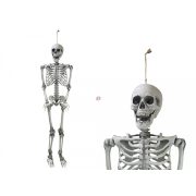   160 cm Halloweeni élthű csontváz felakasztható mozgatható testrészekkel