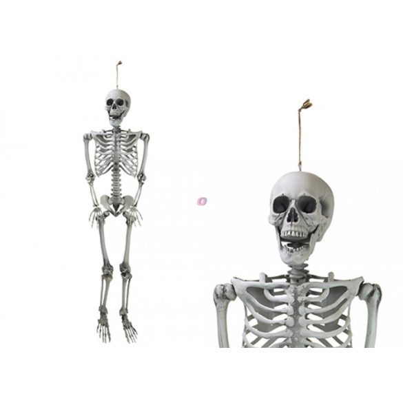 160 cm Halloweeni élthű csontváz felakasztható mozgatható testrészekkel
