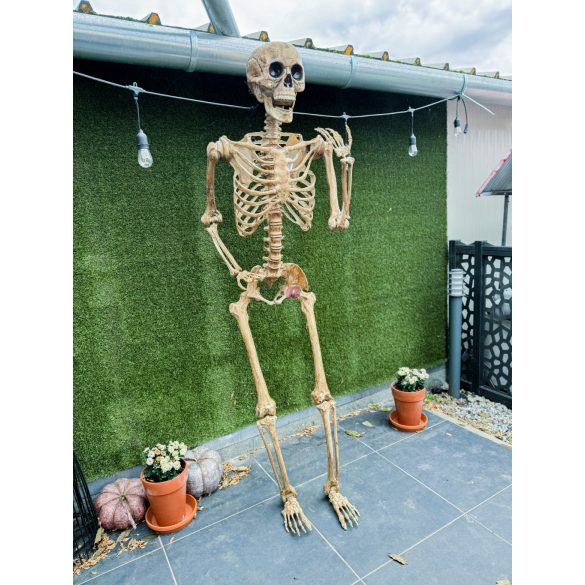 Óriás Halloweeni élthű csontváz 210 cm