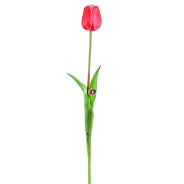 Élethű Gumi Tulipán bíbor rózsaszín 47 cm
