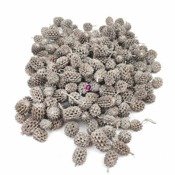 Casuarina termés falfestékes szürke 140 gr