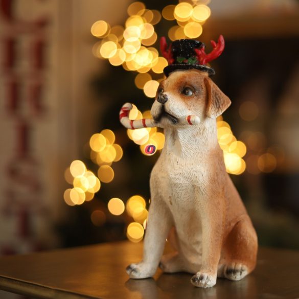 Karácsonyi figura kutya sapkában 22 cm poly 4 féle választható kivitel
