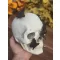 Prémium halloweeni koponya pillangókkal 19 cm