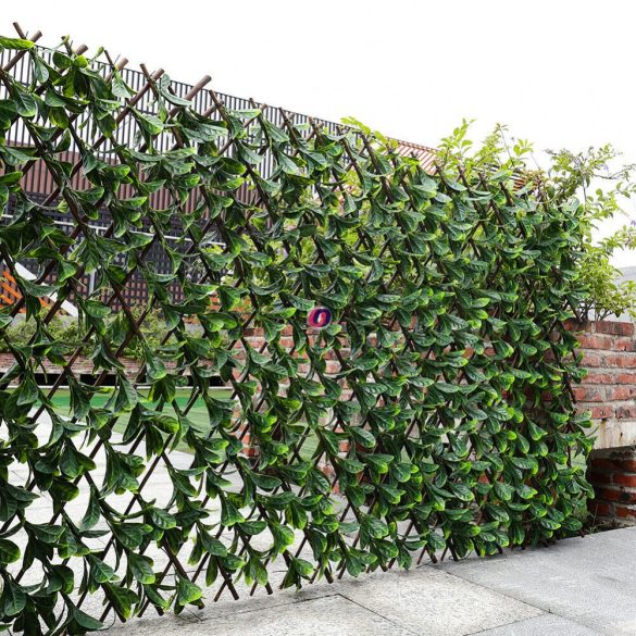 Pro garden Belátásgátló borostyán levelekkel állítható 90x180 cm térelválasztó