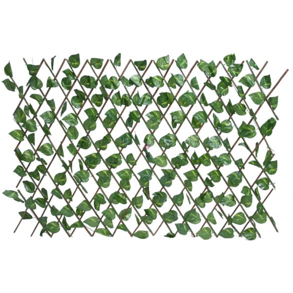 Pro garden Belátásgátló borostyán levelekkel állítható 90x180 cm térelválasztó