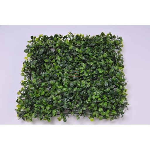 Buxus zöld fal 25x25cm négyzet