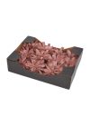 Succulent polyfoam 10x10 pink 12  db-os szett