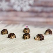 Sün poly 2, 8x2x1, 6 cm barna 6 db-os szett