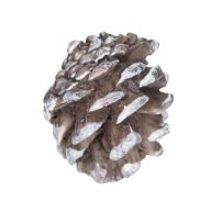 4 db-os poly toboz szett 2,7x2,4x2,8 cm