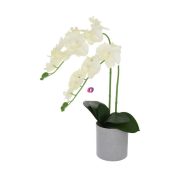   Selyemvirág orchidea műanyag kaspóban műanyag 51cm fehér