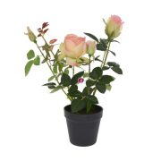   Selyemvirág rózsabokor műanyag kaspóban műanyag 41cm barack