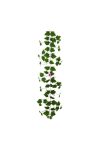 Selyemvirág szőlőlevél girland 160 cm zöld - DD61301
