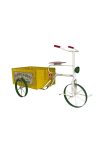 Tricikli tárolóval fém 50x22x29cm sárga, zöld