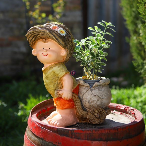 Nagyméretű Kerti figura kisfiú sapkában, talicskával 37 cm