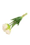 Selyemvirág papagáj Tulipán csokor 5 szálas 47 cm