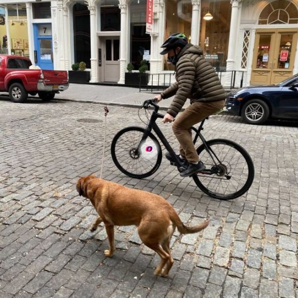 Kutyapóráz tartó kerékpárra