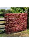 Belátásgátló, térelválasztó vörös juharlevelekkel állítható 90x180 cm Deconline Garden
