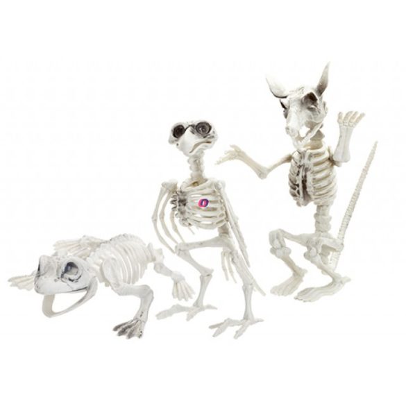 Halloweeni csontváz állatok béka, holló, patkány