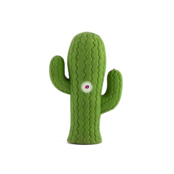 Radír, kaktusz