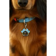   Egyedi képes, neves biléta nyakörvre, személyre szabható, kék