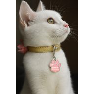   Egyedi képes, neves biléta nyakörvre, személyre szabható, rózsaszín