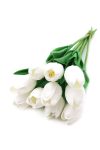 Élethű tapintású tulipán Fehér 33 cm 1db