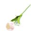 Élethű tapintású tulipán halvány rózsaszín 33 cm 1db