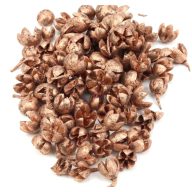 Chiruni Pod  réz 100 gr / csomag