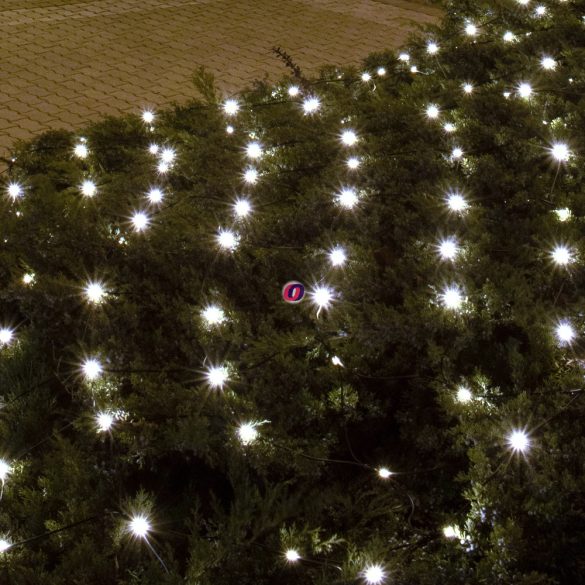 HOME LED- es kültéri háló, 160 db hidegfehér LED, 2 x 1.5 m, zöld vezeték, 5 m tápvezeték KLN 160C/WH