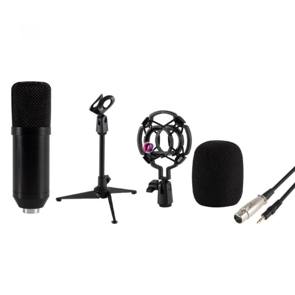 SAL Stúdió mikrofon szett, tripod, XLR-3,5mm