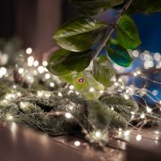 Micro LED fényfüzér hidegfehér 20 LED 1,9m 3V IP20