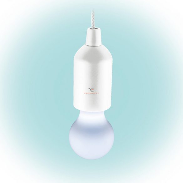 Home LED-es zsinórlámpa, 1 LED, hidegfehér, 100 cm zsinór PLZ 1/WH