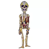   XL Halloweeni csontváz, 106  cm 3 féle választható kivitel PP, Papír