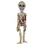 XL Halloweeni csontváz, 106  cm 3 féle választható kivitel PP, Papír