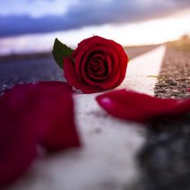 Dekoráció Valentin napra