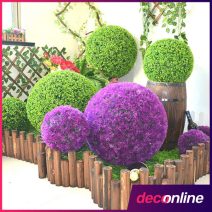 Dísznövény kert dekorációhoz