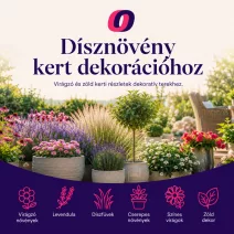 Dísznövény kert dekorációhoz