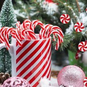 Candy cane - cukorbot dekoráció