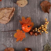 Őszi betűzős kellék, pick