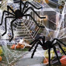 Halloween Pókháló