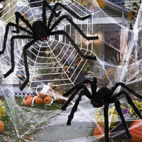 Halloween Pókháló