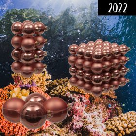 The Coral Collection