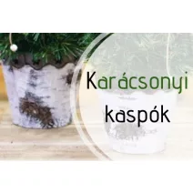 Kaspó