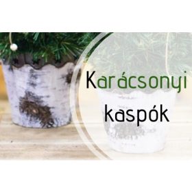 Kaspó