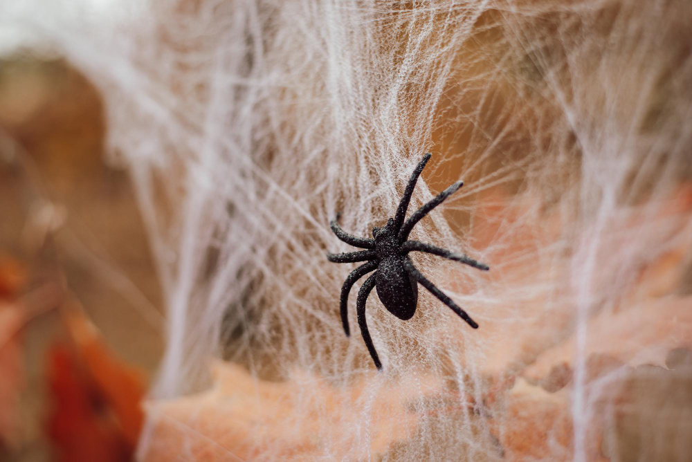 Halloween pókháló pókkal